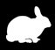 rabbit_icon